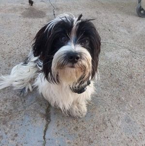 Meet your Posher, Regina